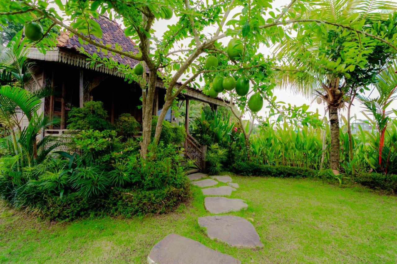 Nauna Villa Ubud 외부 사진