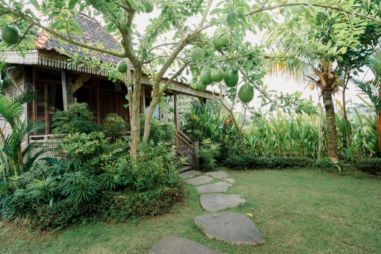 Nauna Villa Ubud 외부 사진